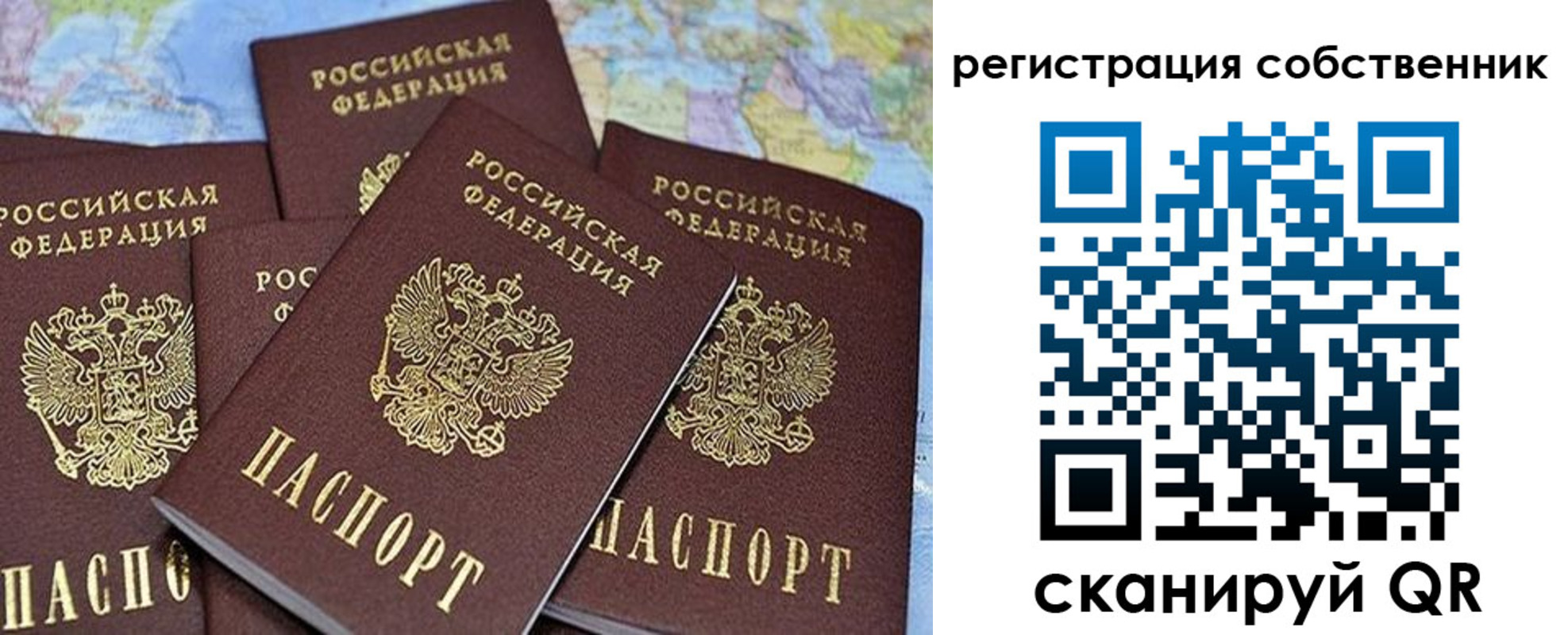 прописка для школы в Хвалынске